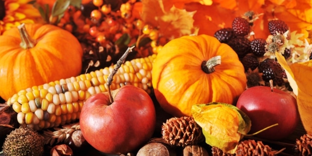 Thanksgiving-Blog-640x320